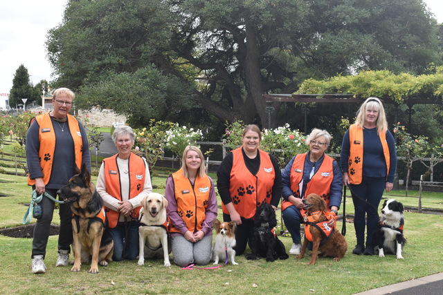 Lending a paw: new volunteers for Story Dogs | Border Chronicle