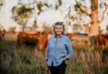 Clock is ticking for grace period recommendation on tax scheme