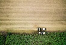 Winter crop production to fall from consecutive record highs