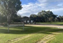 A doggone great plan