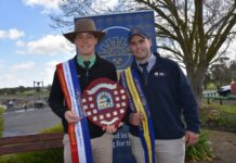 Bordertown auctioneer named South Australia champion