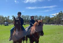 Importance of country shows