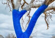 Lucindale Blue Tree Project encourages mental health discussions three years later