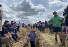 Water repellent soils a focus for new council project