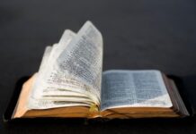 Longing for extra insights