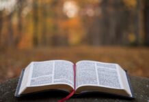 Finding God’s truth