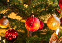 Padthaway and Mundulla show off Christmas spirit