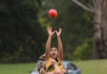 Frontrunners already looking strong