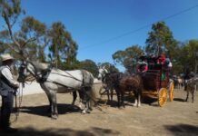 A century on, they’re re-enacting a mailrun