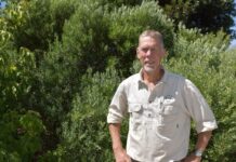 Looking into lifestyle living