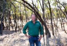 Coalition, Greens and independents unite behind farmers: NFF