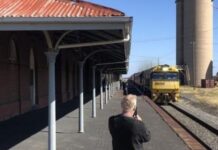 Exploring their backyard