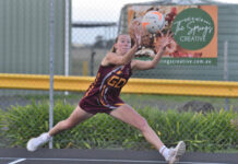 Murphies have all bases covered