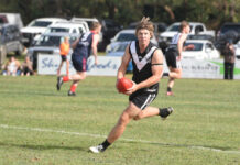 Mozzies to push Magpies