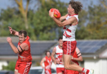 Roosters off to ideal start