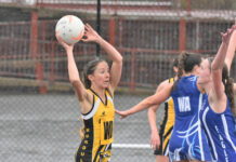 Netballers ready to hit courts