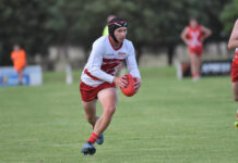 Roosters with a point to prove