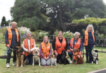 Lending a paw: new volunteers for Story Dogs