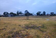 Consultation policy deferred