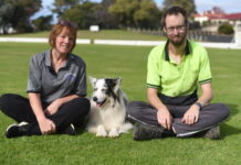 Tougher penalties for dog attacks