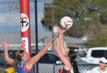 Millicent wins, Cats impress