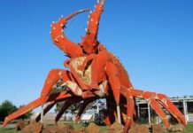 Beloved Kingston SE paper immortalised digitally