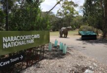 More to caves than expected