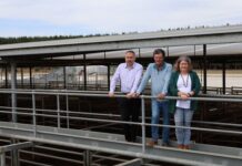 No funding for saleyards