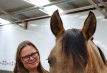 Hands-on horse program for kids