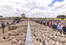 Vote for your Agricultural Town of the Year