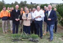 Funding for Tree Breeders Association