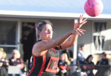 300 games for Bulldogs defender