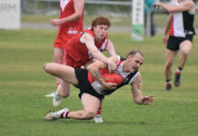 Millicent a cut above