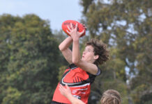 Young stars shine for MSE