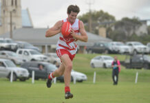 Roosters a cut above