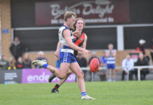 Big day out at Cat town