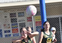 Big milestone for Schultz