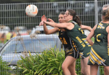 A welcome addition to the Mozzies