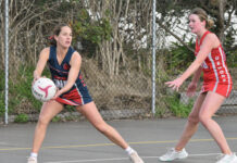 Demons falter after good start