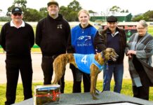 Winning return for local staying star