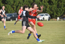 Magpies tough it out against Tigers