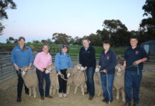 Steering towards success at Adelaide Show