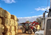 Need for feed comes to the region