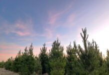 Photography competition entries open