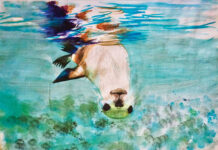 Riddoch exhibtion openings