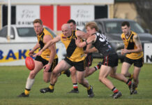 Tigers claw way to victory