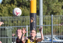 Quick start sets Tigers on victory path