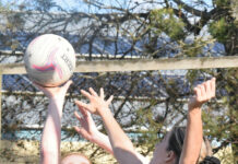 Tigers too strong for young Saints