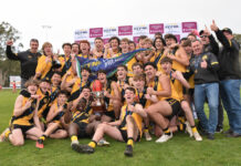 North roars to premiership glory