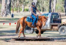 Chelsea steps up to the challenge